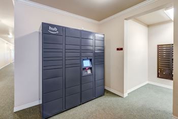 Luxor package locker
